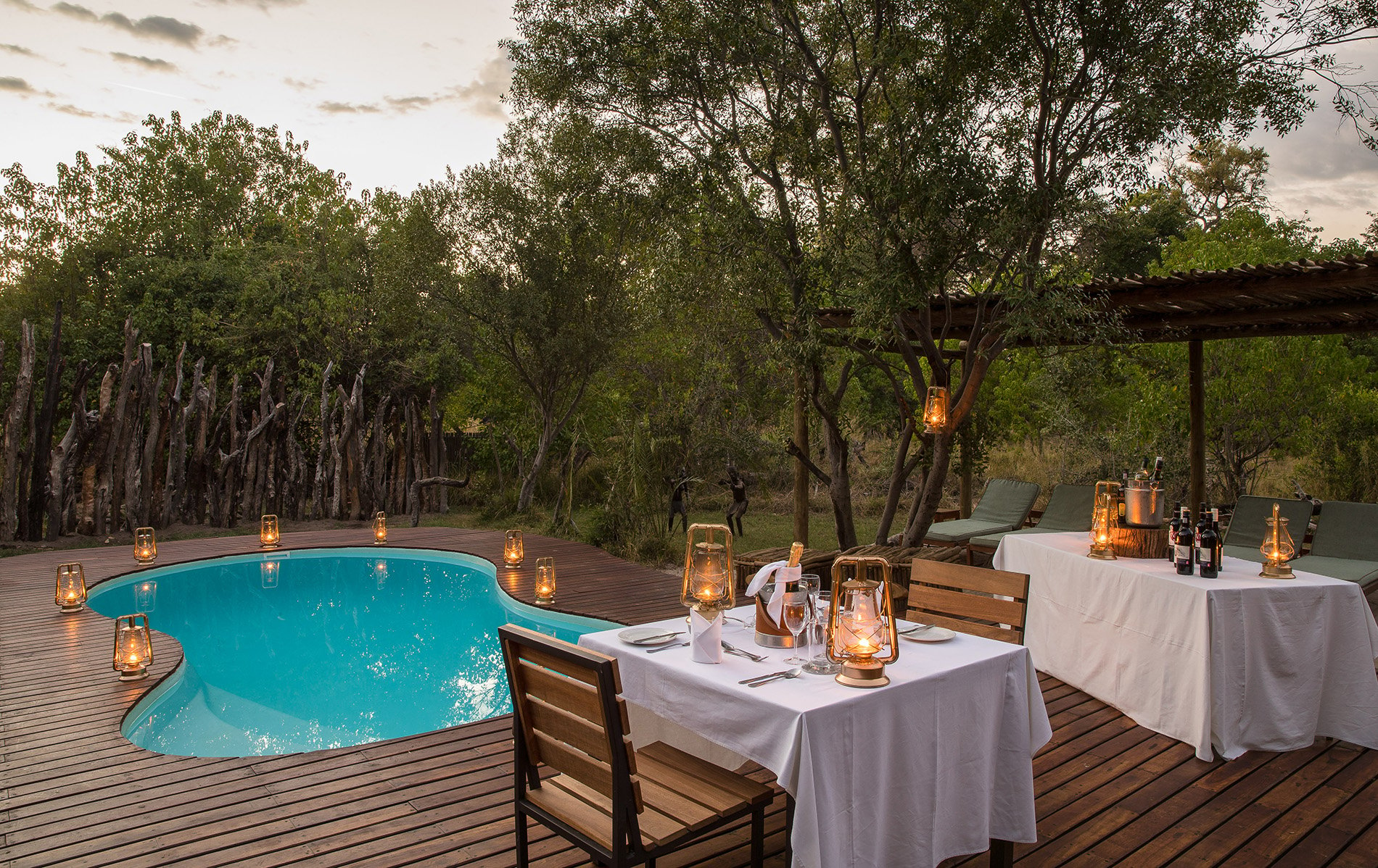 Captivating Kanana in the Okavango Delta