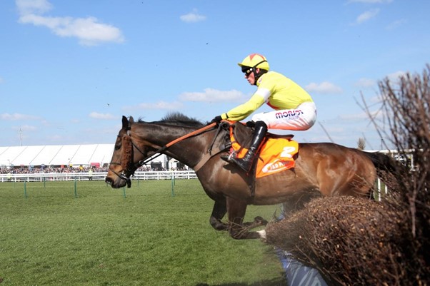 Who will be the Standout Horses at the 2022 Cheltenham Festival?