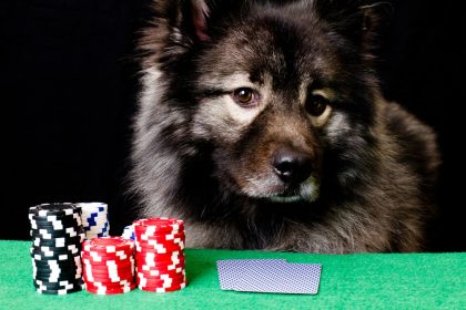 177 Years Since the Birth of Kash Coolidge, Dogs Playing Poker Remains Iconic