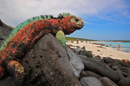 Defying Wonder By Discovering The Garden Of Eden In The Galapagos Islands