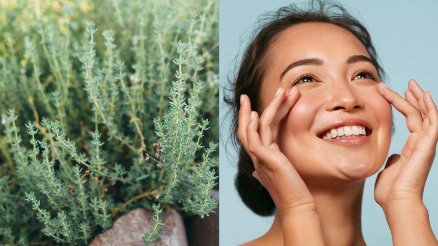 Thyme for skin: 7 easy ways to get radiant and healthy glow