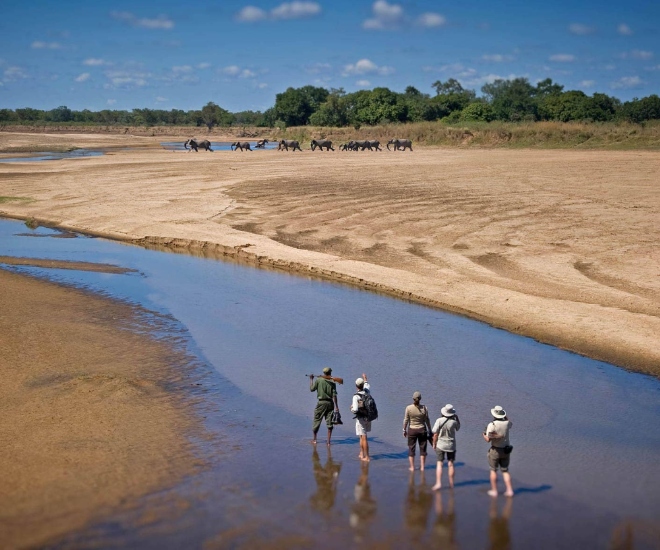 Africa’s Best Luxury Safari Destinations for Wildlife Lovers